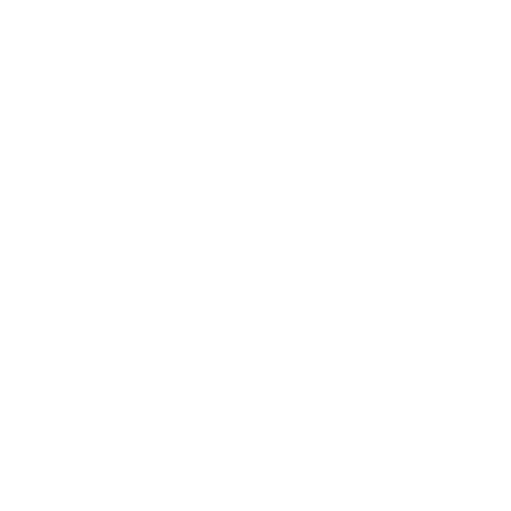 logo Stellar white transparent