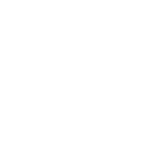 logo Stellar white transparent